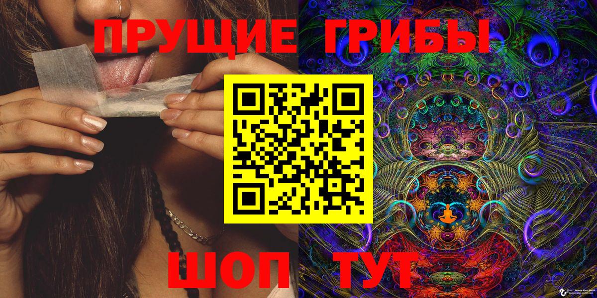 Псилоцибиновые грибы Psilocybine cubensis Петровск