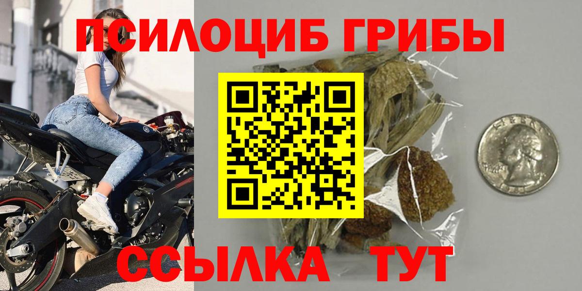 Петровск  Галлюциногенные грибы мухоморы  Псилоцибиновые грибы мухоморы  Вход с VPN 